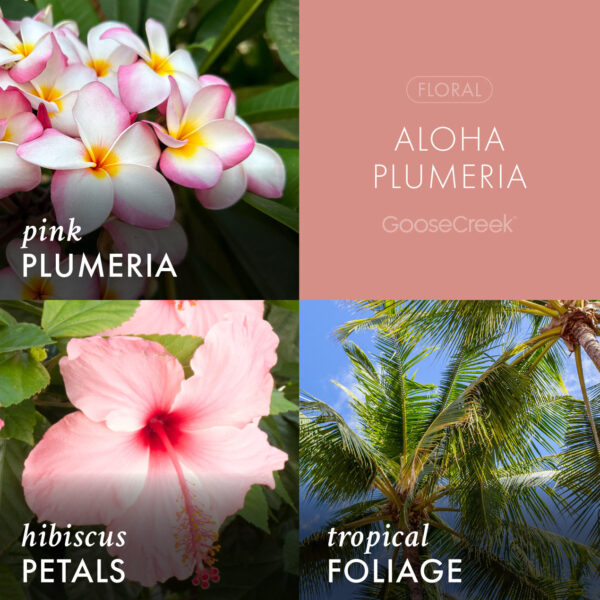 Aloha Plumeria 3-Wick Candle - Image 3