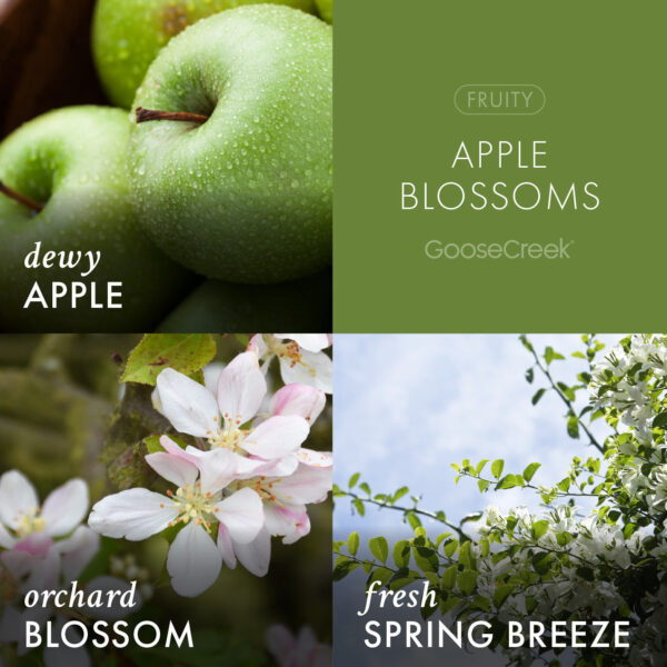 Apple Blossoms 3-Wick Candle - Image 3
