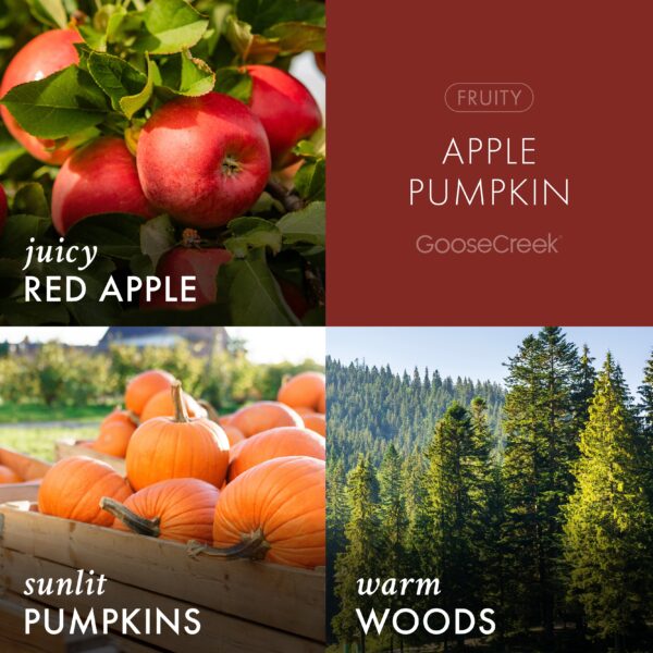 Apple Pumpkin 3-Wick Candle - Image 3
