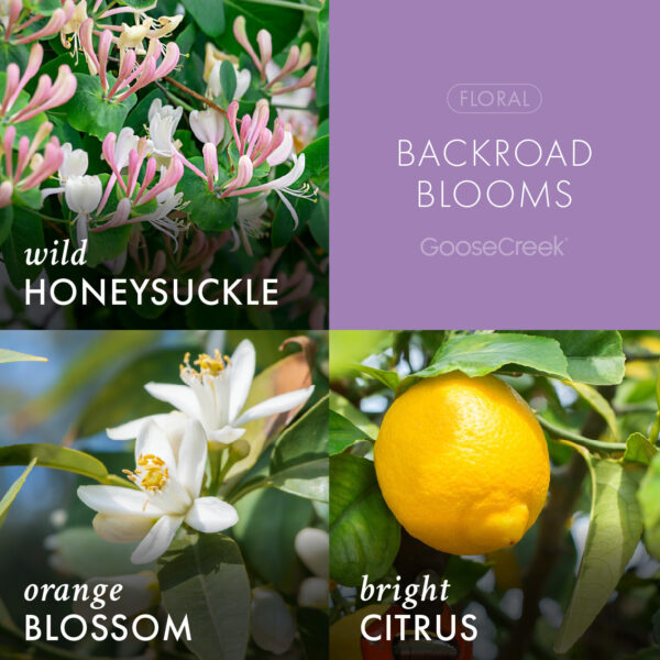 Backroad Blooms 3-Wick Candle - Image 3