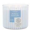 Blueberry Funnel Cake 3-Wick Candle