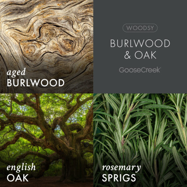Burlwood & Oak 3-Wick Candle - Image 3