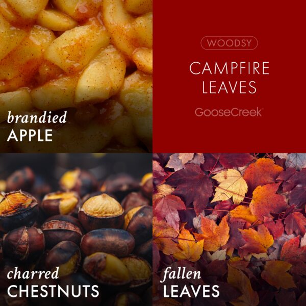 Campfire Leaves 3-Wick Candle - Image 3