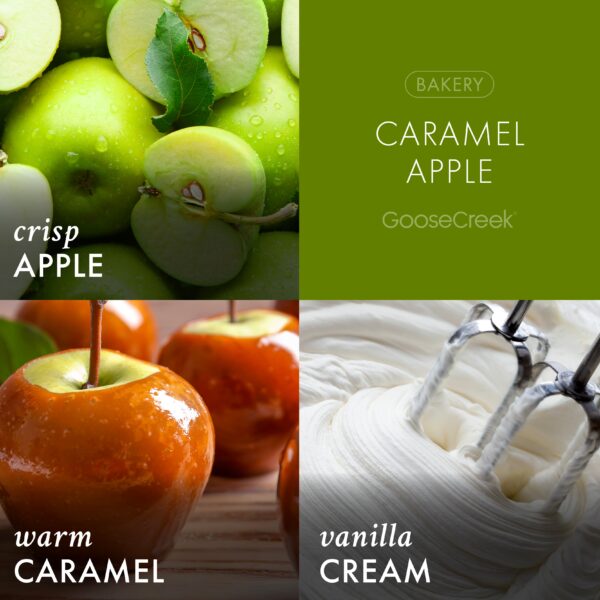 Caramel Apple 3-Wick Candle - Image 3