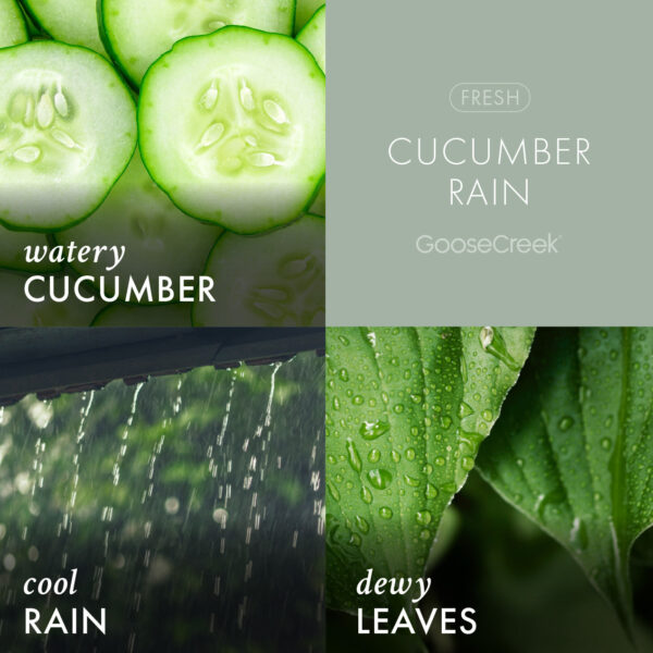 Cucumber Rain 3-Wick Candle - Image 3