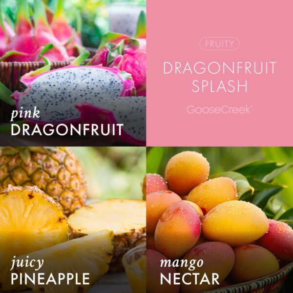 Dragonfruit Splash 3-Wick Candle - Image 3