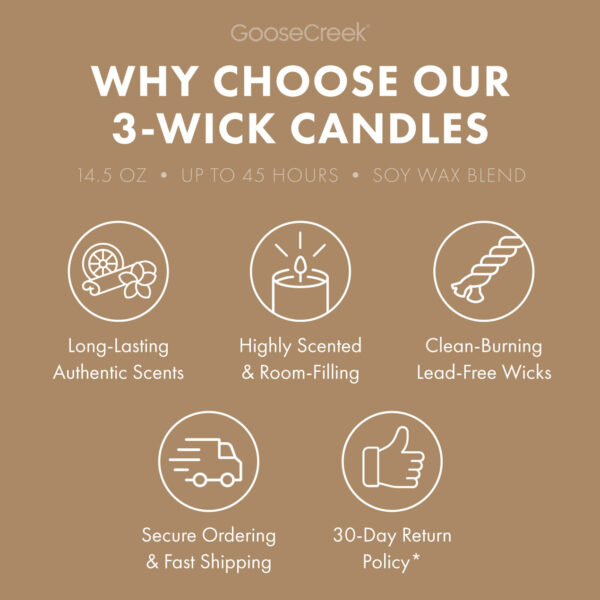 Drenched Coconut 3-Wick Candle - Image 4