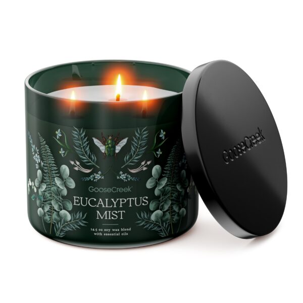 Eucalyptus Mist 3-Wick Candle - Image 2