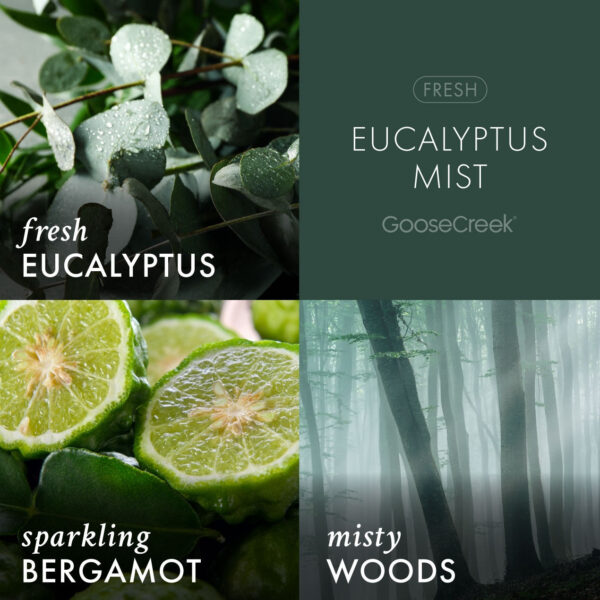 Eucalyptus Mist 3-Wick Candle - Image 3