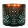 Eucalyptus Mist 3-Wick Candle