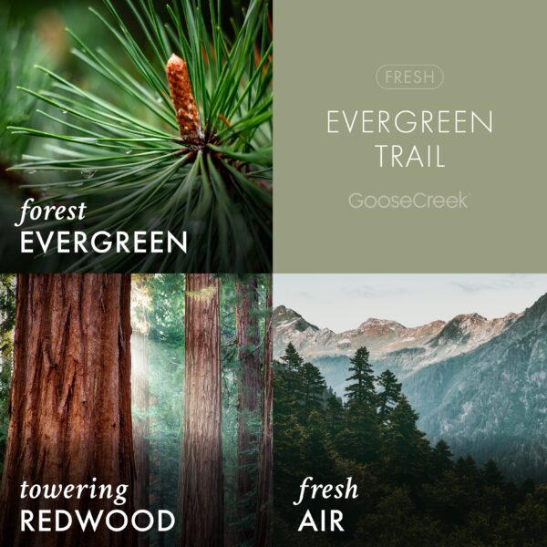 Evergreen Trail 3-Wick Candle - Image 3