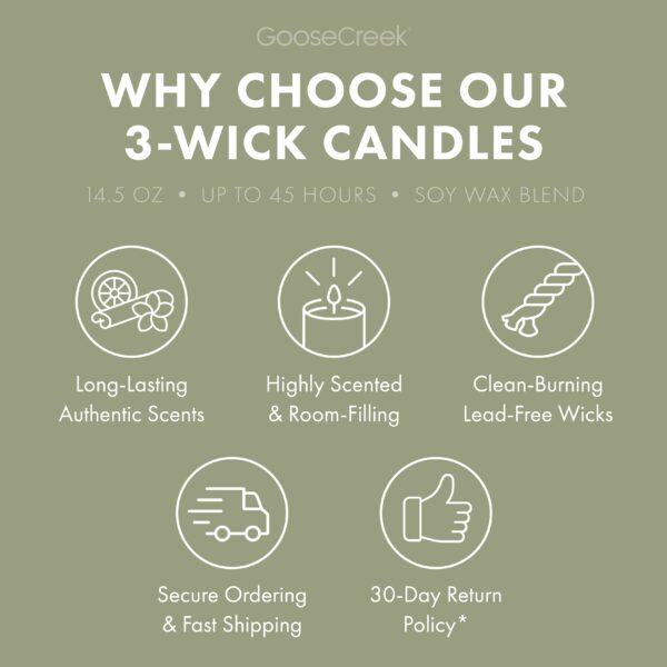 Evergreen Trail 3-Wick Candle - Image 4