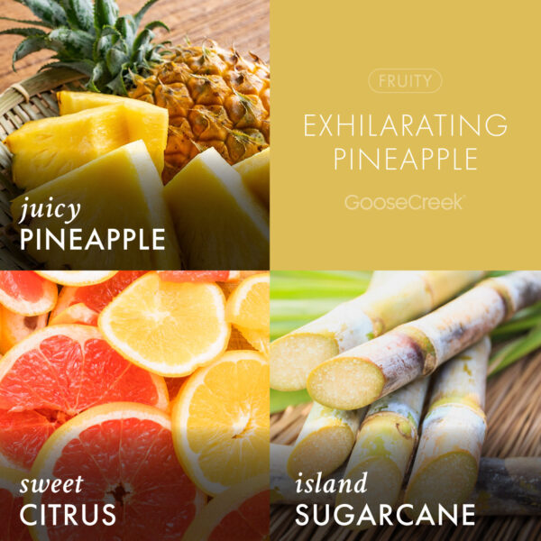 Exhilarating Pineapple 3-Wick Candle - Image 3