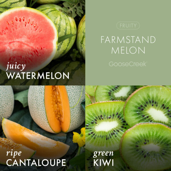 Farmstand Melon 3-Wick Candle - Image 3