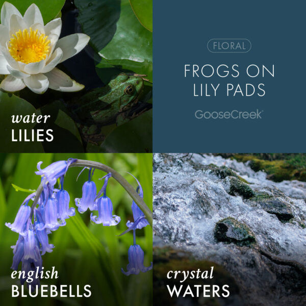 Frogs on Lily Pads 3-Wick Candle - Image 3