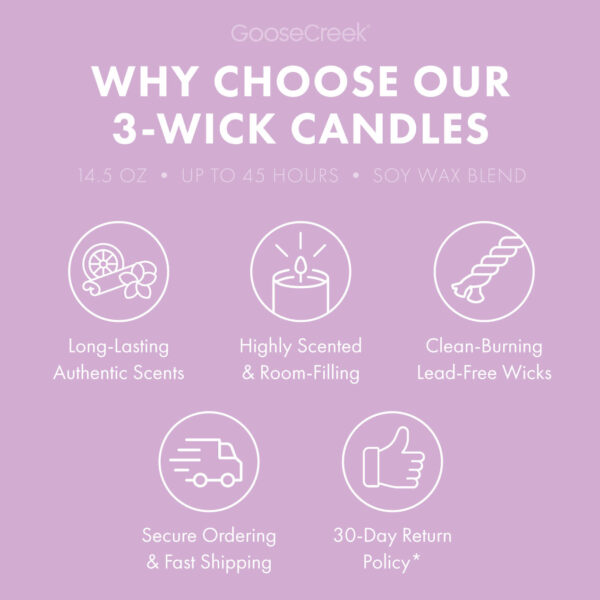 Grape Soda 3-Wick Candle - Image 4