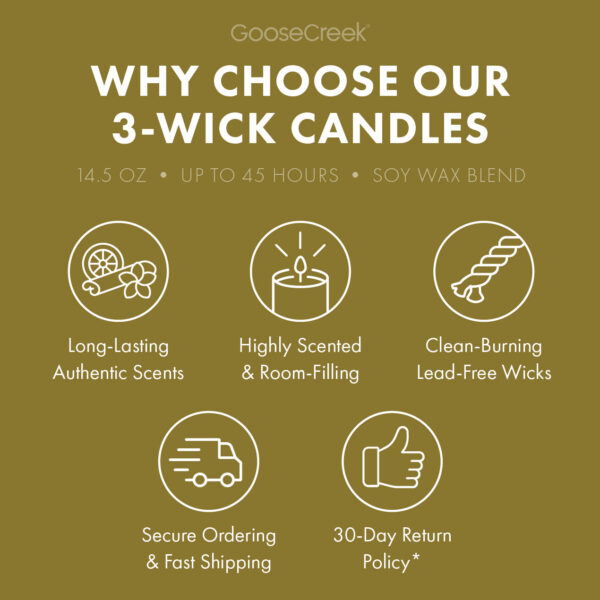 Honeybee Hollow 3-Wick Candle - Image 4