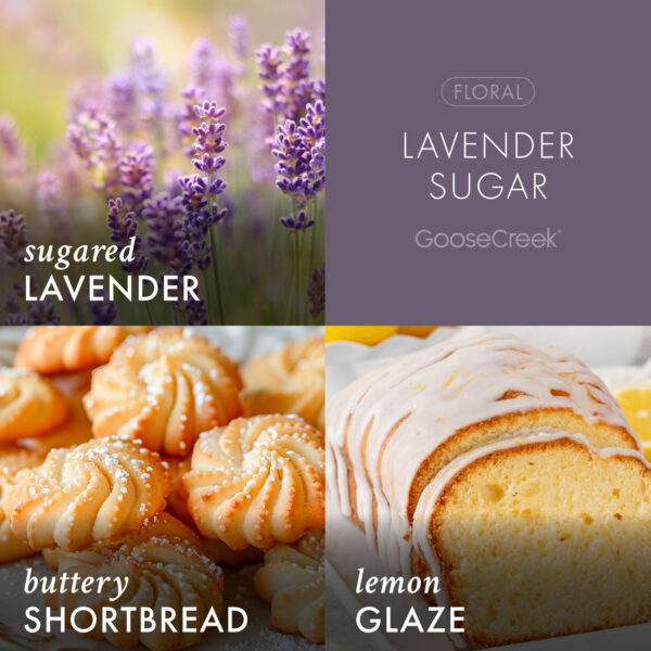 Lavender Sugar 3-Wick Candle - Image 3