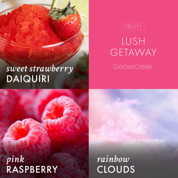 Lush Getaway 3-Wick Candle - Image 3