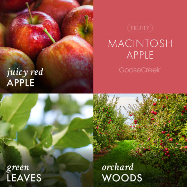 Macintosh Apple 3-Wick Candle - Image 3