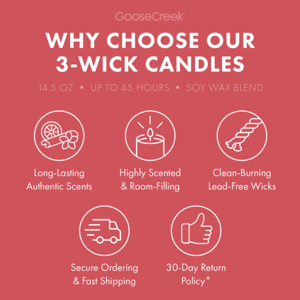 Macintosh Apple 3-Wick Candle - Image 4
