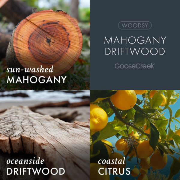 Mahogany Driftwood 3-Wick Candle - Image 3
