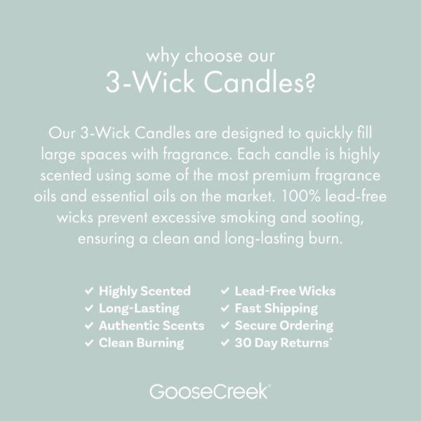 Marshmallow Sugar 3-Wick Candle - Image 3