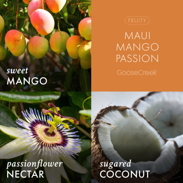 Maui Mango Passion 3-Wick Candle - Image 3