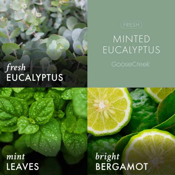 Minted Eucalyptus 3-Wick Candle - Image 3