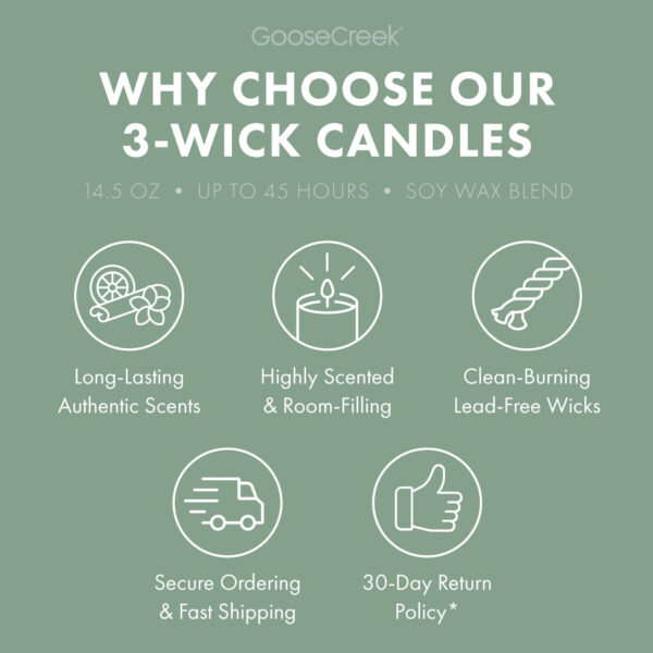 Minted Eucalyptus 3-Wick Candle - Image 4