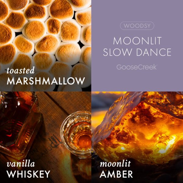 Moonlit Slow Dance 3-Wick Candle - Image 3