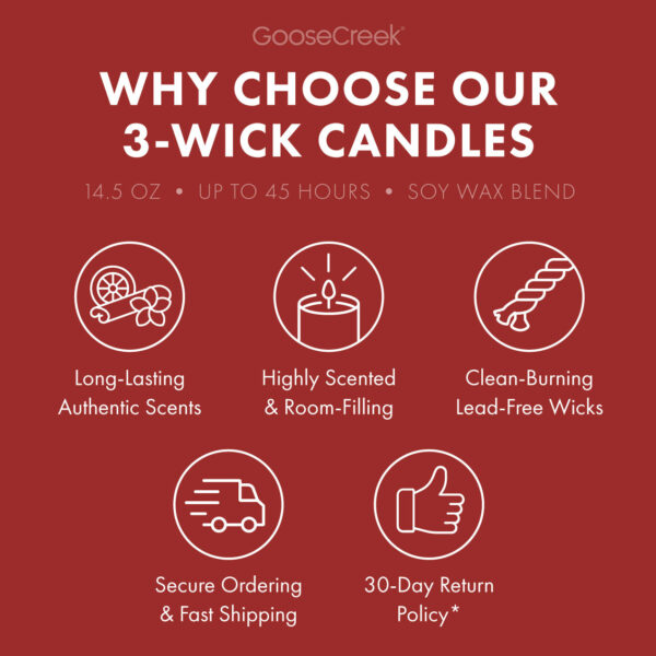Mr. Krabs 3-Wick Candle - Image 4