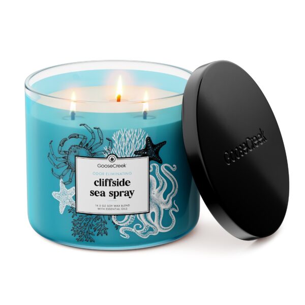 Odor Eliminating Cliffside Sea Spray 3-Wick Candle - Image 2
