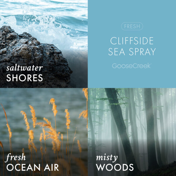 Odor Eliminating Cliffside Sea Spray 3-Wick Candle - Image 3