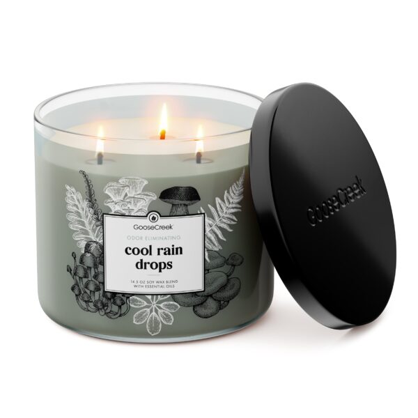 Odor Eliminating Cool Rain Drops 3-Wick Candle - Image 2