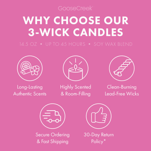 Odor Eliminating Dragonfruit Splash 3-Wick Candle - Image 5