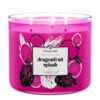 Odor Eliminating Dragonfruit Splash 3-Wick Candle
