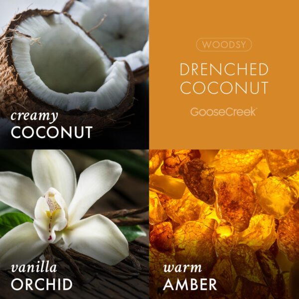 Odor Eliminating Drenched Coconut  3-Wick Candle - Image 3