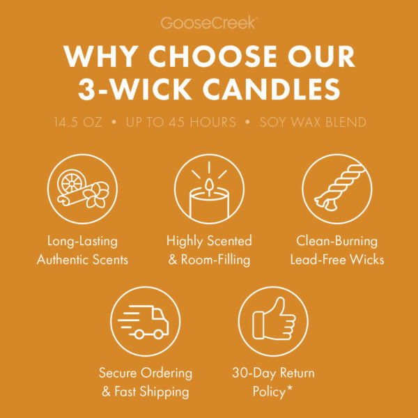 Odor Eliminating Drenched Coconut  3-Wick Candle - Image 5