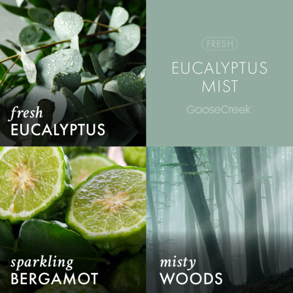 Odor Eliminating Eucalyptus Mist 3-Wick Candle - Image 3