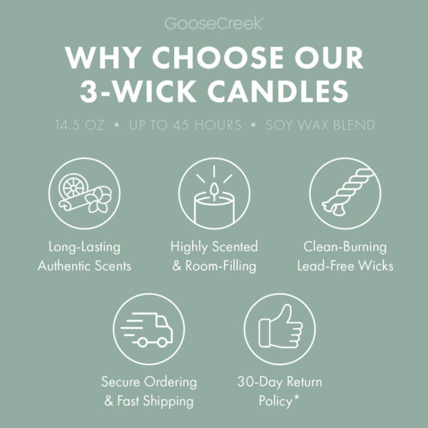Odor Eliminating Eucalyptus Mist 3-Wick Candle - Image 5