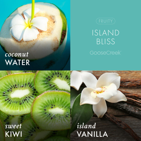 Odor Eliminating Island Bliss 3-Wick Candle - Image 3