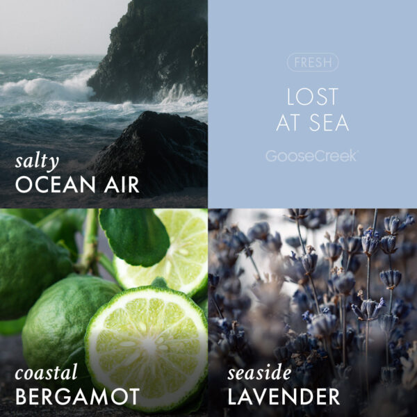 Odor Eliminating Lost at Sea 3-Wick Candle - Image 3