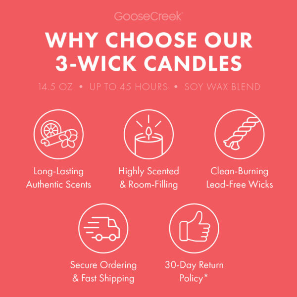 Odor Eliminating Watermelon Lemonade 3-Wick Candle - Image 5