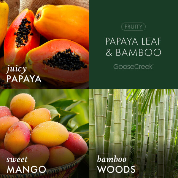 Papaya Leaf & Bamboo 3-Wick Candle - Image 3