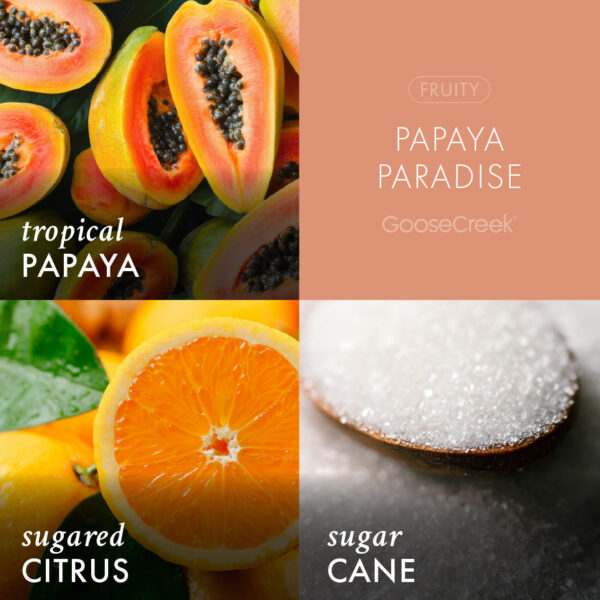 Papaya Paradise 3-Wick Candle - Image 3