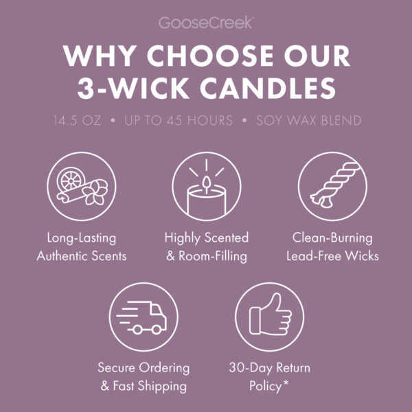 Peanut Butter Sugar 3-Wick Candle - Image 4