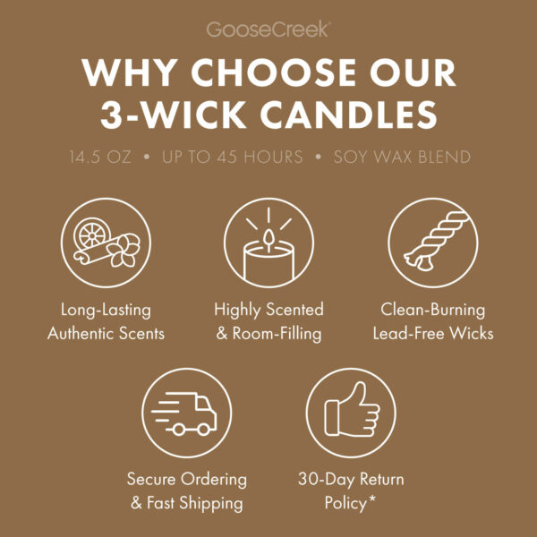 Pina Colada 3-Wick Candle - Image 4