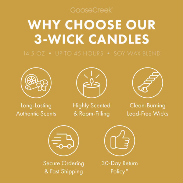 Pineapple Banana Punch 3-Wick Candle - Image 4