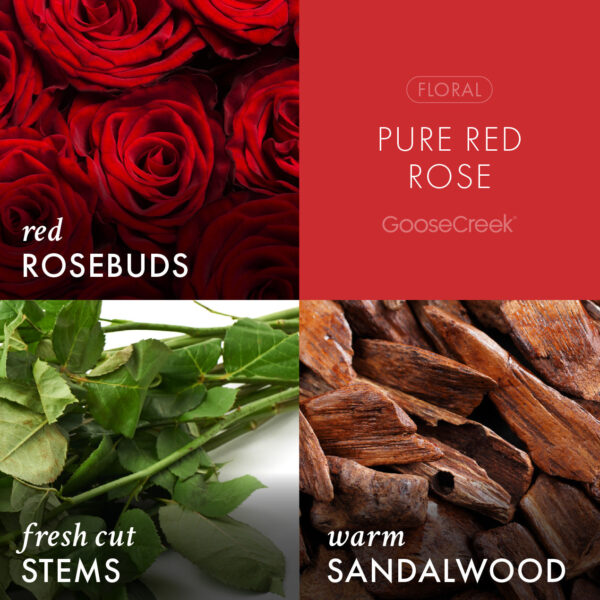 Pure Red Rose 3-Wick Candle - Image 3